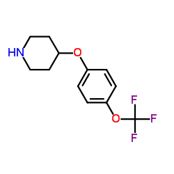 4-[4-(Trifluoromethoxy)phenoxy]piperidine structure, CAS 28033-37-6