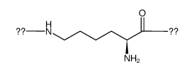 epsilon-Polylysin structure, CAS 28211-04-3