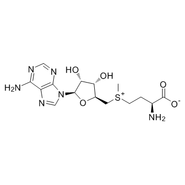 S-Adenosyl-L-methionine structure, CAS 29908-03-0