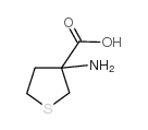 3-Aminotetrahydrothiophene-3-carboxylic acid structure, CAS 32418-99-8