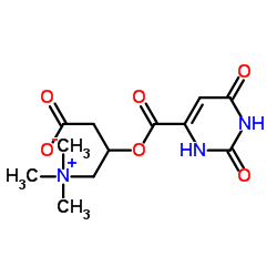 Carnitine orotate structure, CAS 32543-38-7