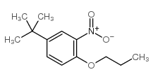 4-tert-Butyl-2-nitrophenyl propyl ether structure, CAS 33353-60-5