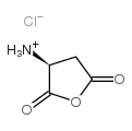 (3S)-3-Aminodihydro-2,5-furandione hydrochloride structure, CAS 34029-31-7