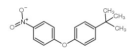 4-Nitro-4'-tert-butyldiphenyl ether structure, CAS 34859-82-0