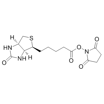 (+)-Biotin N-hydroxysuccinimide ester structure, CAS 35013-72-0