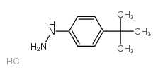 4-tert-Butylphenylhydrazine hydrochloride structure, CAS 36600-66-5