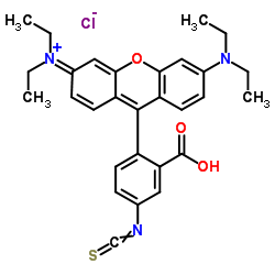Rhodamine B isothiocyanate structure, CAS 36877-69-7