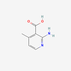 2-Amino-4-methylpyridine-3-carboxylic acid structure, CAS 38076-82-3