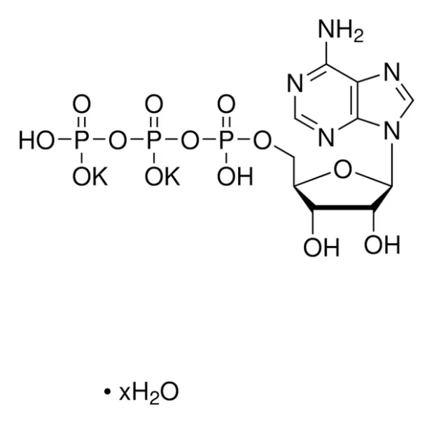 Adenosine 5'-triphosphate dipotassium salt structure, CAS 42373-41-1