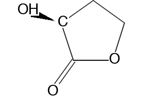 (S)-(-)-alpha-Hydroxy-gamma-butyrolactone structure, CAS 52079-23-9