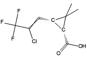 3-(2,2-Dichloroethenyl)-2,2-dimethylcyclopropanecarboxylic acid structure, CAS 55701-03-6