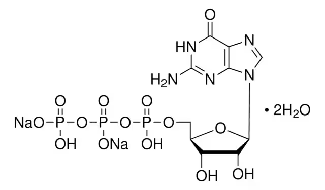 Guanosine-5'-triphosphoric acid disodium salt structure, CAS 56001-37-7