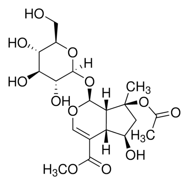 8-O-Acetylshanzhiside methyl ester structure, CAS 57420-46-9