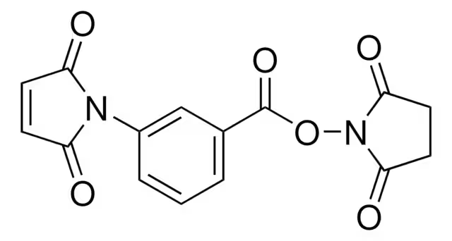 3-Maleimidobenzoic acid N-hydroxysuccinimide ester structure, CAS 58626-38-3
