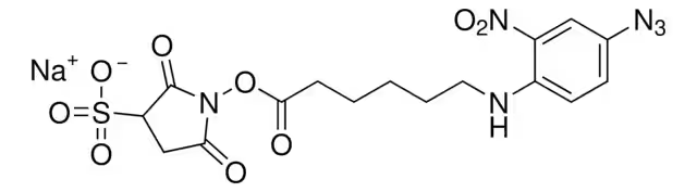 2-Azido-6-benzylaminopurine structure, CAS 61716-00-5