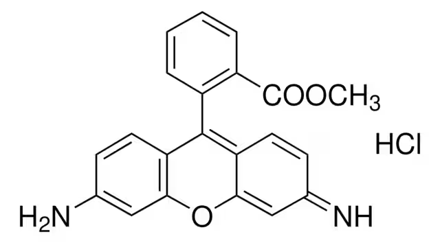 Rhodamine 123 structure, CAS 62669-70-9