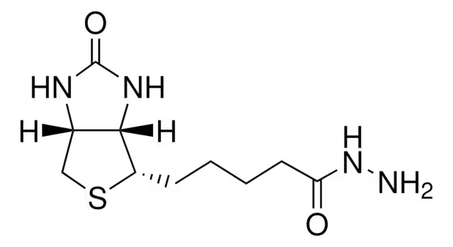 Biotin hydrazide structure, CAS 66640-86-6