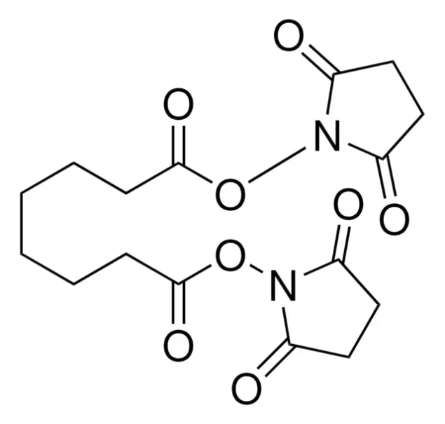 Disuccinimidyl suberate structure, CAS 68528-80-3