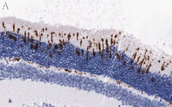 Pigment Blue 17:1 structure, CAS 71799-04-7