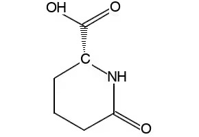 D-6-Oxopipecolinic acid structure, CAS 72002-30-3