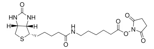 Succinimidyl 6-(biotinamido)hexanoate structure, CAS 72040-63-2