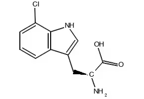 7-Chloro-L-tryptophan structure, CAS 73945-46-7