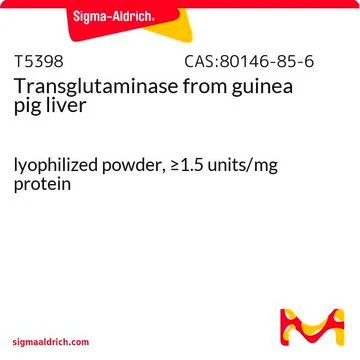 Transglutaminase structure, CAS 80146-85-6