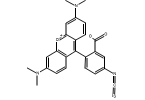Tetramethylrhodamine-5-isothiocyanate structure, CAS 80724-19-2
