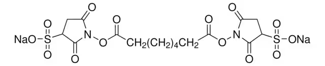 Bis(sulfosuccinimidyl) suberate sodium salt structure, CAS 82436-77-9