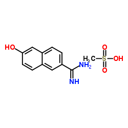 6-Amidino-2-naphthol methanesulfonate structure, CAS 82957-06-0