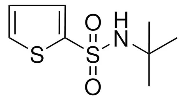 N-tert-Butyl-2-thiophenesulfonamide structure, CAS 100342-30-1