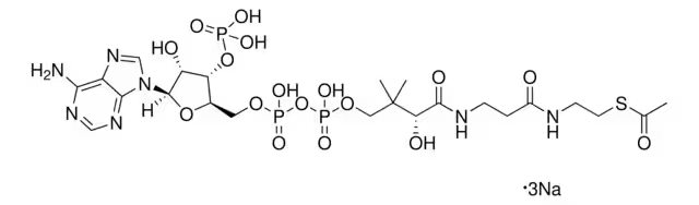 Acetyl coenzyme A sodium salt structure, CAS 102029-73-2