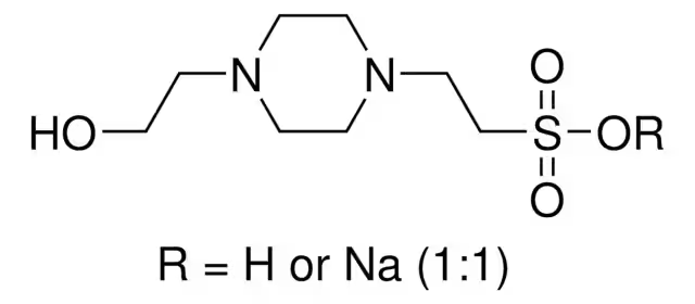4-(2-Hydroxyethyl)piperazine-1-ethanesulfonic acid hemisodium salt structure, CAS 103404-87-1