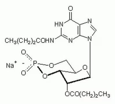 N,5'-O-Diacetyl-2',3'-O-isopropylideneguanosine structure, CAS 106743-56-0