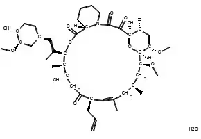 Tacrolimus monohydrate structure, CAS 109581-93-3