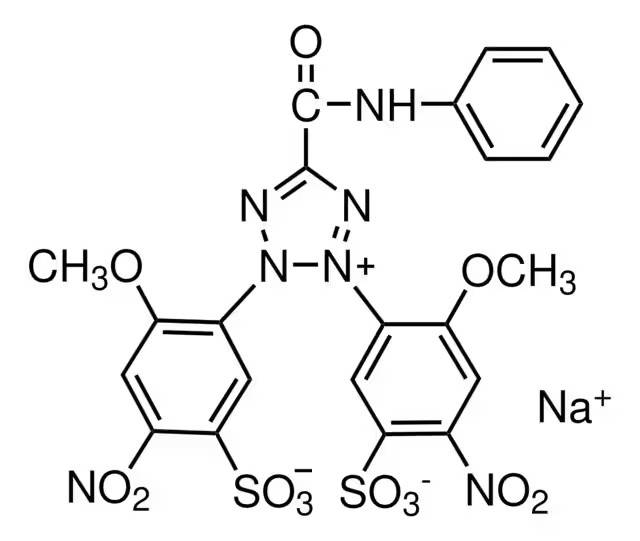 XTT sodium salt structure, CAS 111072-31-2