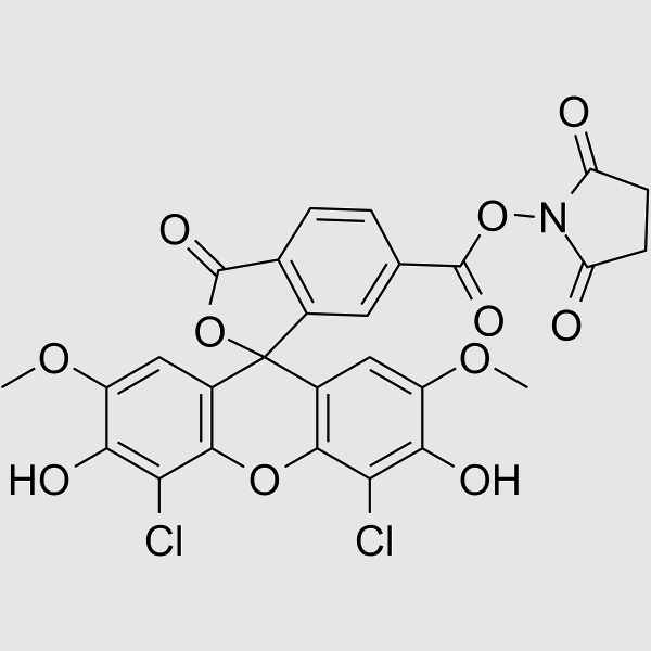 6-Carboxy-4',5'-dichloro-2',7'-dimethoxyfluorescein N-hydroxysuccinimide ester structure, CAS 113394-23-3