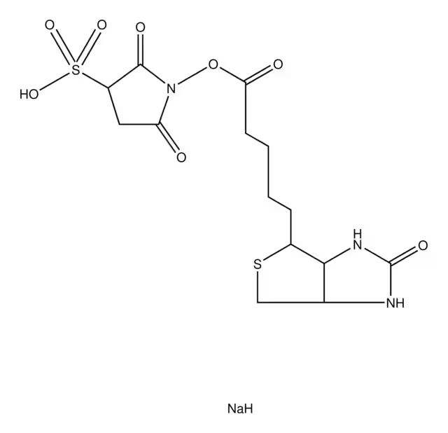 Biotin 3-sulfo-N-hydroxysuccinimide ester sodium salt structure, CAS 119616-38-5