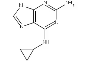 2-Amino-6-cyclopropylamino-9H-purine structure, CAS 120503-69-7
