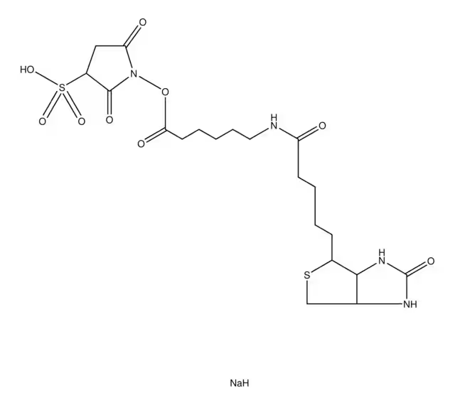Sulfosuccinimidyl 6-(biotinamido)hexanoate sodium salt structure, CAS 127062-22-0