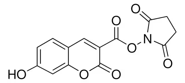 7-Hydroxycoumarin-3-carboxylic acid N-succinimidyl ester structure, CAS 134471-24-2