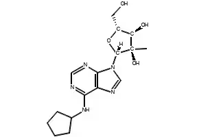 N-Cyclopentyl-2'-C-methyl-adenosine structure, CAS 205171-06-8
