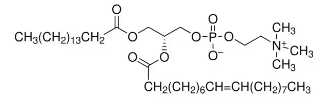 (Z)-(R)-N-((2-Hydroxy-1-methyl)ethyl)-9-octadecenamide structure, CAS 213182-22-0