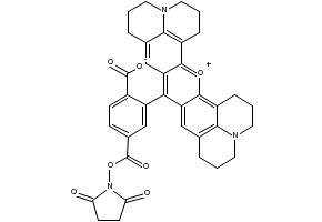 6-Carboxy-X-rhodamine succinimidyl ester structure, CAS 216699-36-4