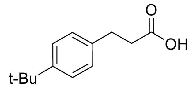 3-Amino-3-(4-tert-butylphenyl)propanoic acid structure, CAS 282524-82-7