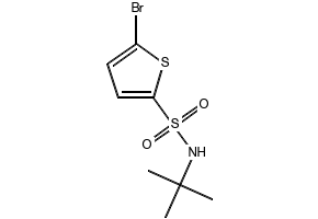 5-Bromo-N-tert-butyl-2-thiophenesulfonamide structure, CAS 286932-39-6