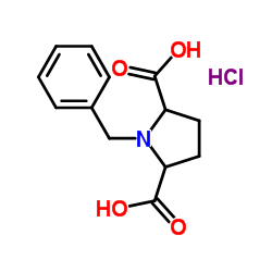 1-Benzyl-2,5-pyrrolidinedicarboxylic acid hydrochloride structure, CAS 325146-20-1