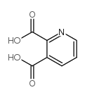 2,3-Pyridinedicarboxylic acid structure, CAS 339155-13-4