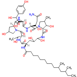 Pneumocandin A0 structure, CAS 539823-80-8