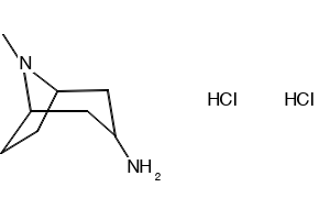 8-Methyl-8-azabicyclo[3.2.1]octan-3-amine dihydrochloride structure, CAS 646477-45-4